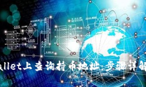 如何在tpWallet上查询持币地址：步骤详解与常见问题